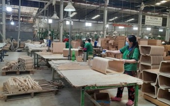 Doanh nghiệp gỗ Việt Nam nội địa hoá nguyên liệu và mở rộng thị trường tiềm năng
