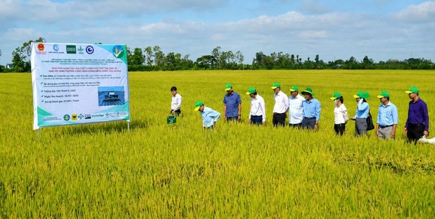 Đồng Tháp tăng tốc giảm phát thải, đón cơ hội từ thị trường carbon và nông nghiệp xanh Đồng Tháp tăng tốc giảm phát thải, đón cơ hội từ thị trường carbon và nông nghiệp xanh