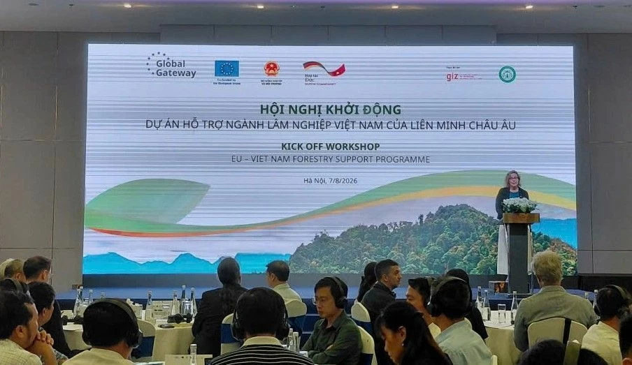 EU tài trợ 20 triệu EUR thúc đẩy chuỗi giá trị lâm nghiệp xanh tại Việt Nam
