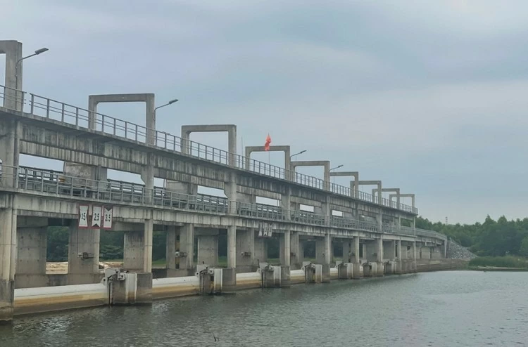 42,76 triệu USD giúp Việt Nam hiện đại hóa hệ thống thủy lợi, tăng cường khả năng chống chịu