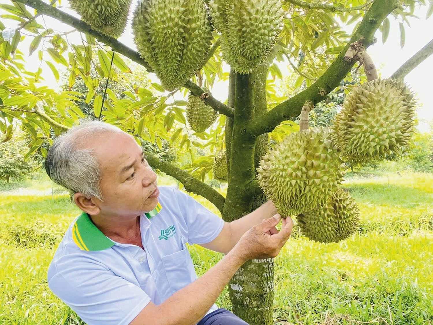 Khoa học công nghệ tạo lực đẩy mới cho nông nghiệp