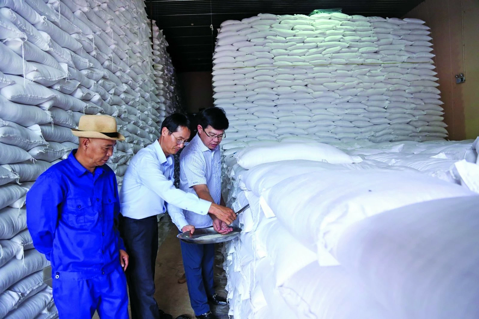 Chi cục Dự trữ Nhà nước khu vực II: Xuất cấp kịp thời, bảo đảm an toàn nguồn lực dự trữ quốc gia