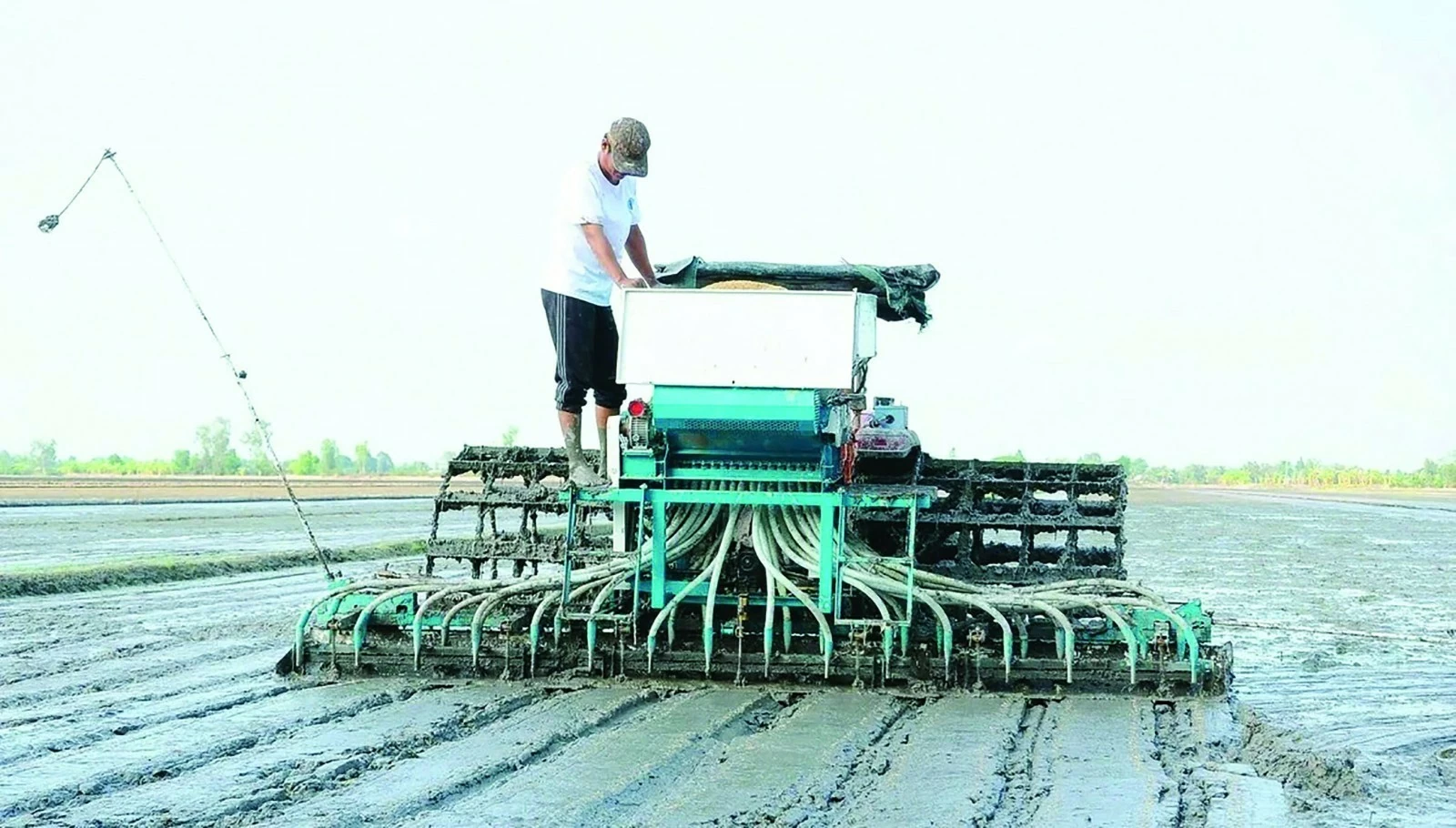 Định vị thương hiệu “Gạo Việt xanh, phát thải thấp”